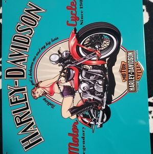 Harley Davidson Tin wallhanging